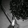 user2820421362838