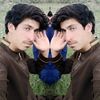 ftyhullah.alham