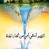sidahmadfarha