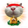 safiink
