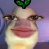 n_o_t_h_e_r