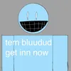 tem_bluudud.get_inn_.now