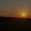 habiba317890