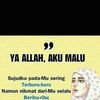ziednailma5