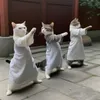 rushui_cheng