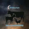 adamfairusfarm