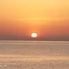 sham_abdulla