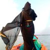 sadika1432