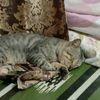 nurlialyiana