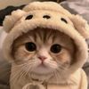 qaleesya_1307