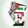 jsebrahim16