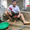 phong_cui_nuoi_ga