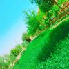 خاطري فيك