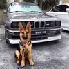 hossamgahire