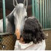 amwaj333_0