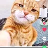 franciscohenrique877