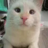 mariabraz264