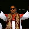 king_scarr415