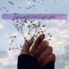 eman234_7