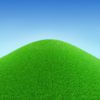 grassinoel
