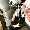 schmudge_