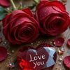 sajjad55637