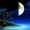 half_moon555