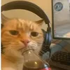 chocolatete64