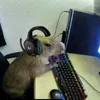 capivara.gamer_