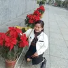 mimay4800