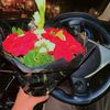 rajaa__143