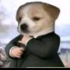 perritopayasitooxenford7