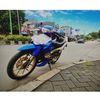 baby_shark303