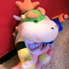 bowserjunioriscool