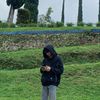 dewananda.nf