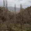 salimmohammad107snz
