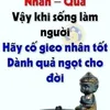272phuongnguyen