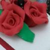 user79qtexpzqv
