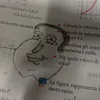 pierino15._