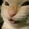 gfchoihyunw0ok