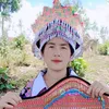 phuahang3