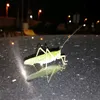 scyropiqn