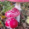 groszepl