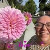 dazysusan