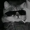 justabananacat
