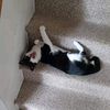sleepygarygetsit