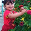 rafiq.rafiq816