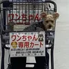 drdrgrgr