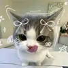phling_0307