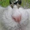 toks0_o